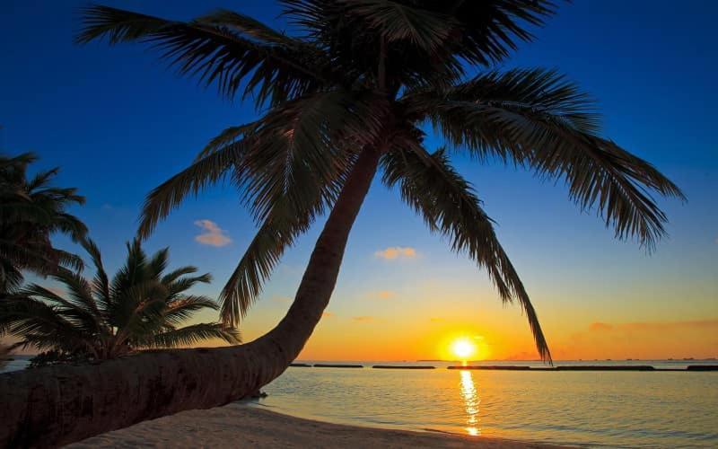 Elene Phu Quoc Hotel ภายนอก รูปภาพ